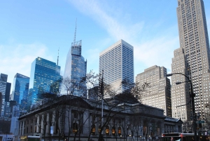 New York City: Privat anpassningsbar tur med guide