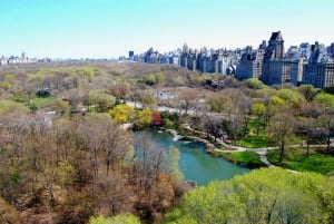 Ciudad de Nueva York: Experiencia privada Ver lo mejor con un local