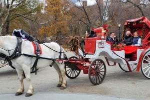 NYC:Paseo privado en coche de caballos a la luz de la luna y con las luces de Navidad