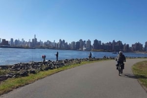 New York City: Tour panoramico privato in bicicletta