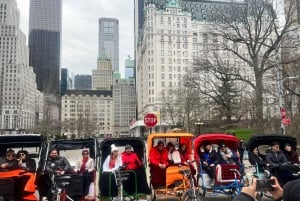 New York City Private Tour