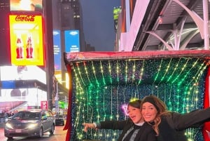 New York City Private Tour