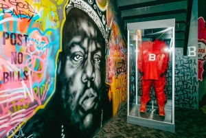 Nueva York: boleto para la experiencia RiseNY