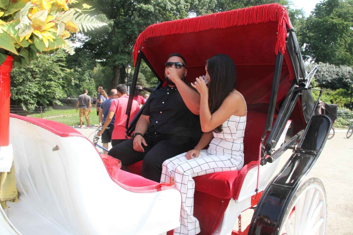 Romantic/Proposal Central Park Carriage Tour Up to 4 Adults