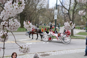 Romantic/Proposal Central Park Carriage Tour Bis zu 4 Erwachsene