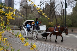 Romantische/Proposal Central Park Koets Tour tot 4 volwassenen