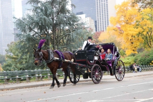 Visite romantique/de demande en mariage en calèche dans Central Park (jusqu'à 4 adultes)