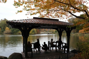 Visite romantique/de demande en mariage en calèche dans Central Park (jusqu'à 4 adultes)