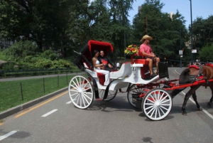 Visite romantique/de demande en mariage en calèche dans Central Park (jusqu'à 4 adultes)