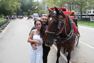 Visite romantique/de demande en mariage en calèche dans Central Park (jusqu'à 4 adultes)