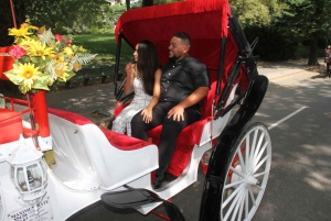 Visite romantique/de demande en mariage en calèche dans Central Park (jusqu'à 4 adultes)