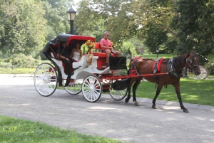 Visite romantique/de demande en mariage en calèche dans Central Park (jusqu'à 4 adultes)