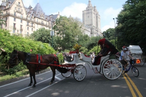 Tour romantico/promozionale di Central Park in carrozza fino a 4 adulti