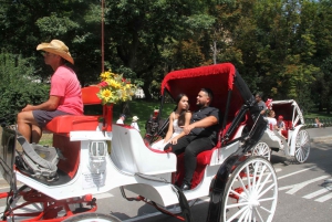 Visite romantique/de demande en mariage en calèche dans Central Park (jusqu'à 4 adultes)