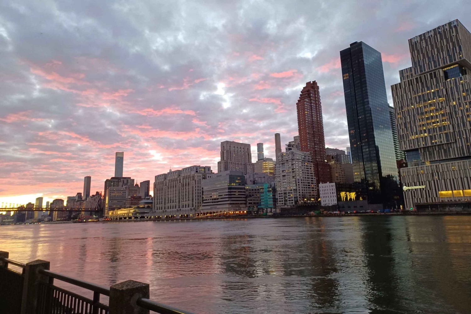 ニューヨーク市：トラム乗車付きルーズベルト島ウォーキングツアー