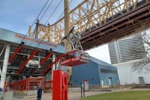 New York City: Roosevelt Island Byvandring med sporvognstur