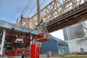 ニューヨーク市：トラム乗車付きルーズベルト島ウォーキングツアー