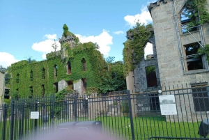 ニューヨーク市：トラム乗車付きルーズベルト島ウォーキングツアー