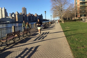 ニューヨーク市：トラム乗車付きルーズベルト島ウォーキングツアー