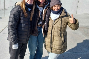 ニューヨーク市：トラム乗車付きルーズベルト島ウォーキングツアー