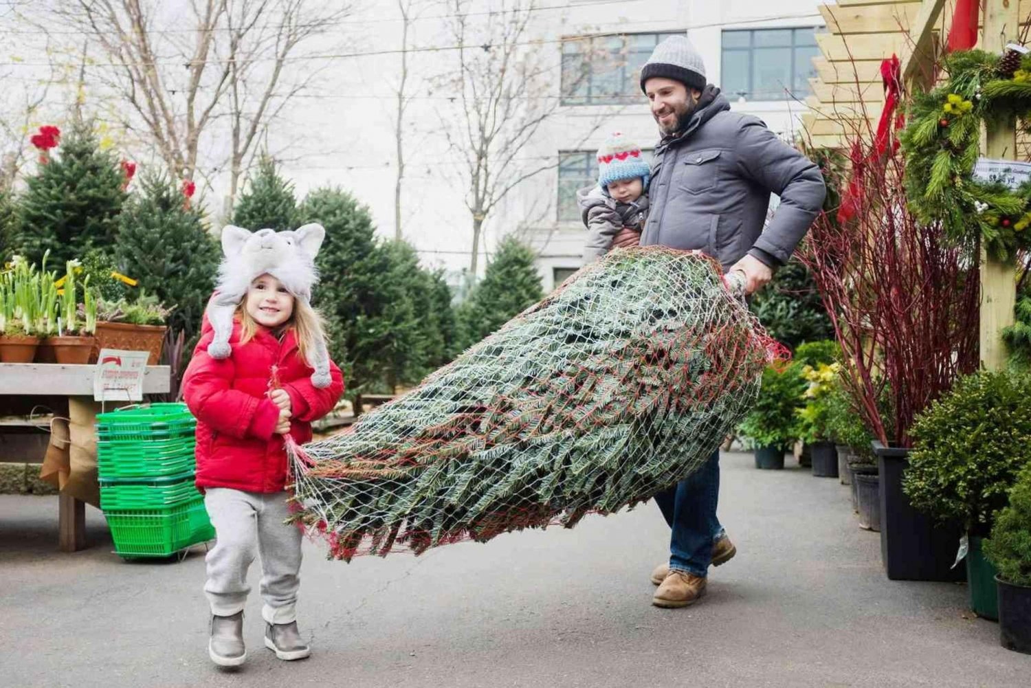 ニューヨーク市の象徴的なクリスマス ツアー