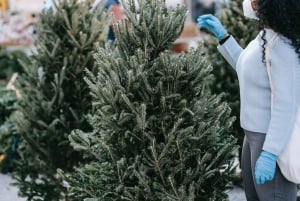 Visite guidée de Noël à New York