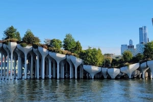 Ciudad de Nueva York: Secrets Of High Line Park Tour a pie