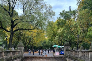 ニューヨーク：セックス・アンド・ザ・シティのロケ地ツアー（90分）をご覧ください