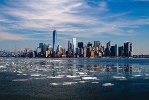 NYC: Byens skyline - guidet sightseeingtur med buss om kvelden