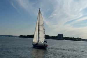New York City: Seiltur til Frihetsgudinnen