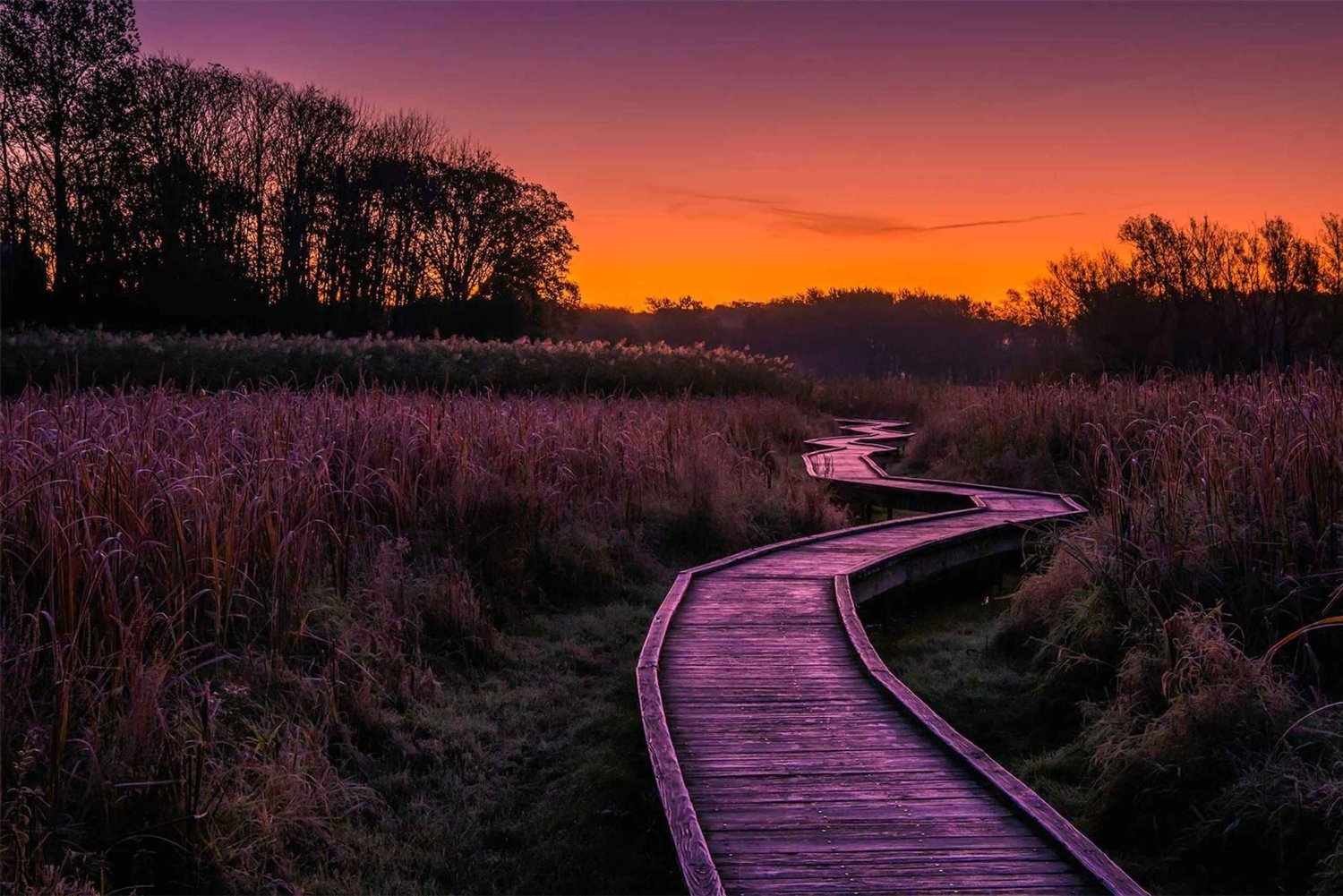 New York City: Privat vandretur i Appalachian Mountains