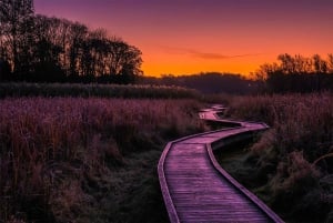 New York City : Randonnée privée dans les Appalaches