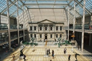 New York City : Visite guidée du Met Museum avec coupe-file