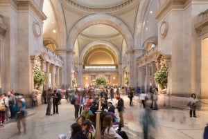 New York City: The Met Museum guidet tur med Skip the Line