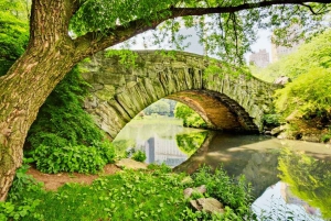 New York City: Topkarakter til Central Park Pedicab Tour