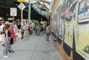 New York City: Rundtur på Manhattan, i Bronx, Queens og Brooklyn