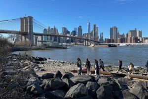 New York: DUMBO Brooklyn Food and Culture Tour
