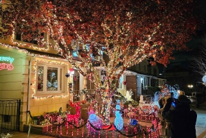 New York: Dyker Heights Christmas Lights Guided Walking Tour