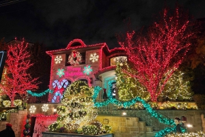 New York: Dyker Heights Christmas Lights Guided Walking Tour: Dyker Heights Christmas Lights Guided Walking Tour