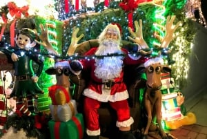 Nueva York: Recorrido por las luces de Navidad de Dyker Heights + Galletas navideñas