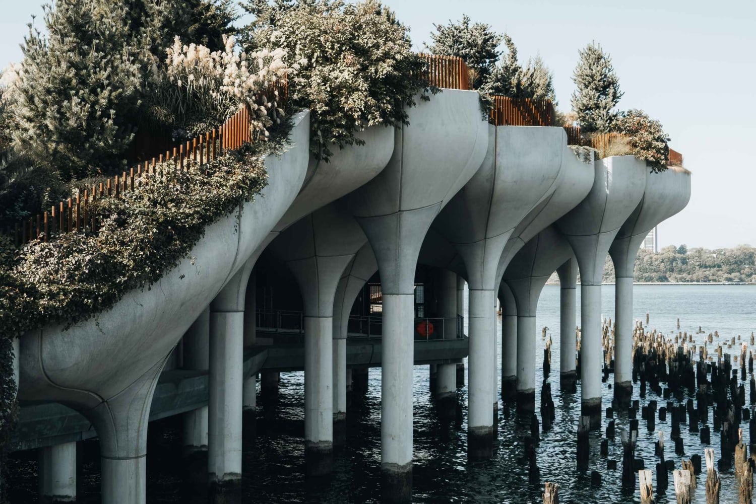 New York Edge Observation Deck & Little Island Pier 55 Tour