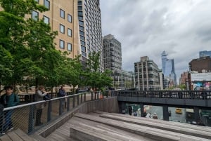 New York Edge Observation Deck & Little Island Pier 55-tur