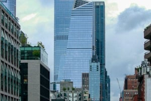 New York Edge Observation Deck & Little Island Pier 55 Tour