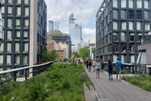 New York Edge Observation Deck & Little Island Pier 55 Tour