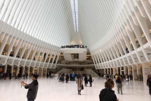 Tour dell'arte e dell'architettura del distretto finanziario di New York