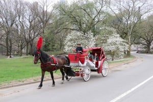 NYC: Guidad standardtur med vagn i Central Park (4 vuxna)