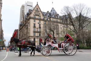 NYC: Guidad standardtur med vagn i Central Park (4 vuxna)