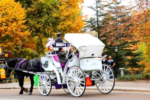 NYC: Giro guidato in carrozza standard di Central Park (4 adulti)