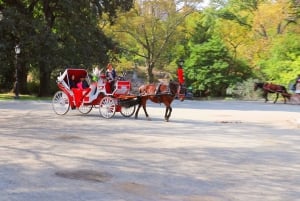 NYC: begeleide standaard koetsrit in Central Park (4 volwassenen)