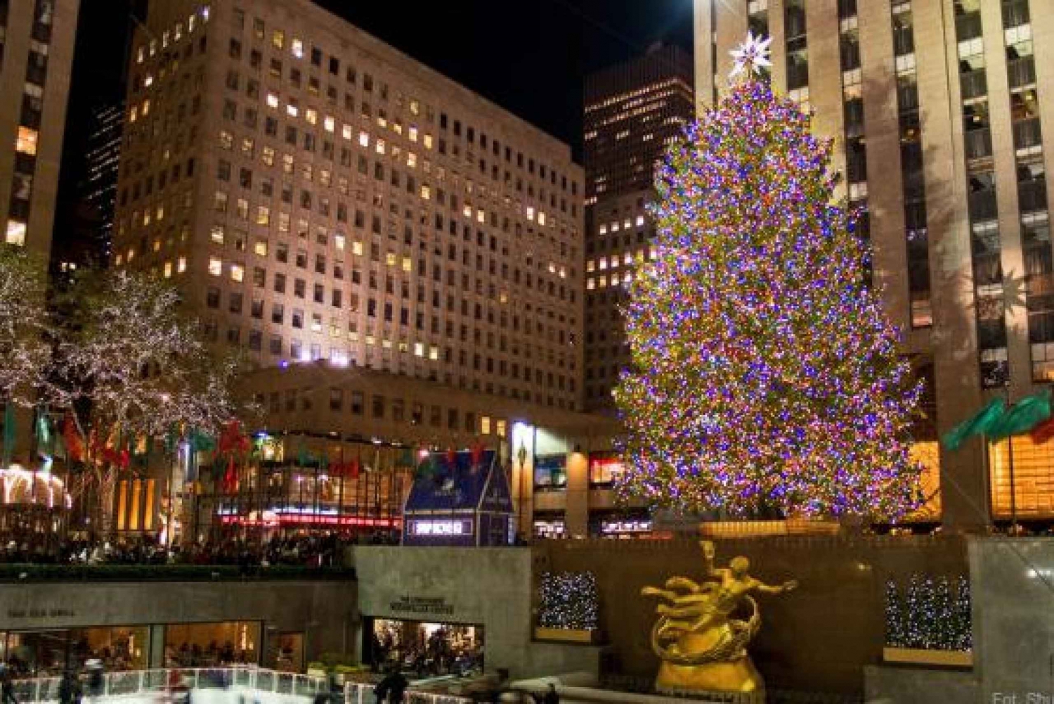 New York Holiday Lights and Movie Sites Bus Tour